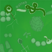 microbes and viruses